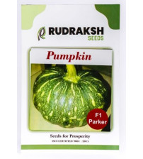 Pumpkin / Kaddoo Parker 50 grams